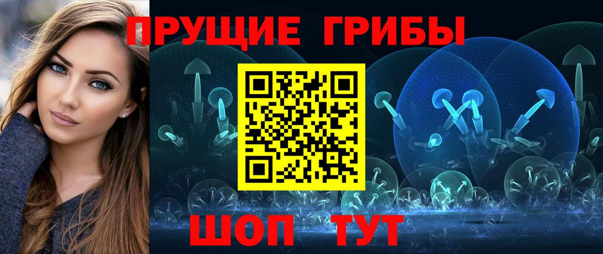 Галлюциногенные грибы Psilocybe Дивногорск