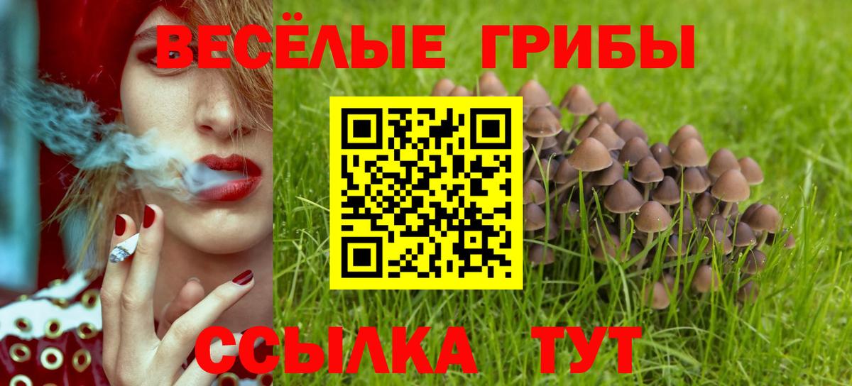 Дивногорск  Псилоцибиновые грибы MAGIC MUSHROOMS  купить   Вход с VPN 